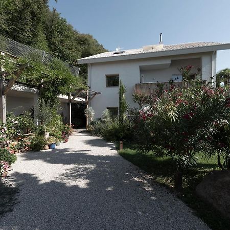 Ferienwohnung La Loggia Georg Pianizza di Sopra Exterior foto